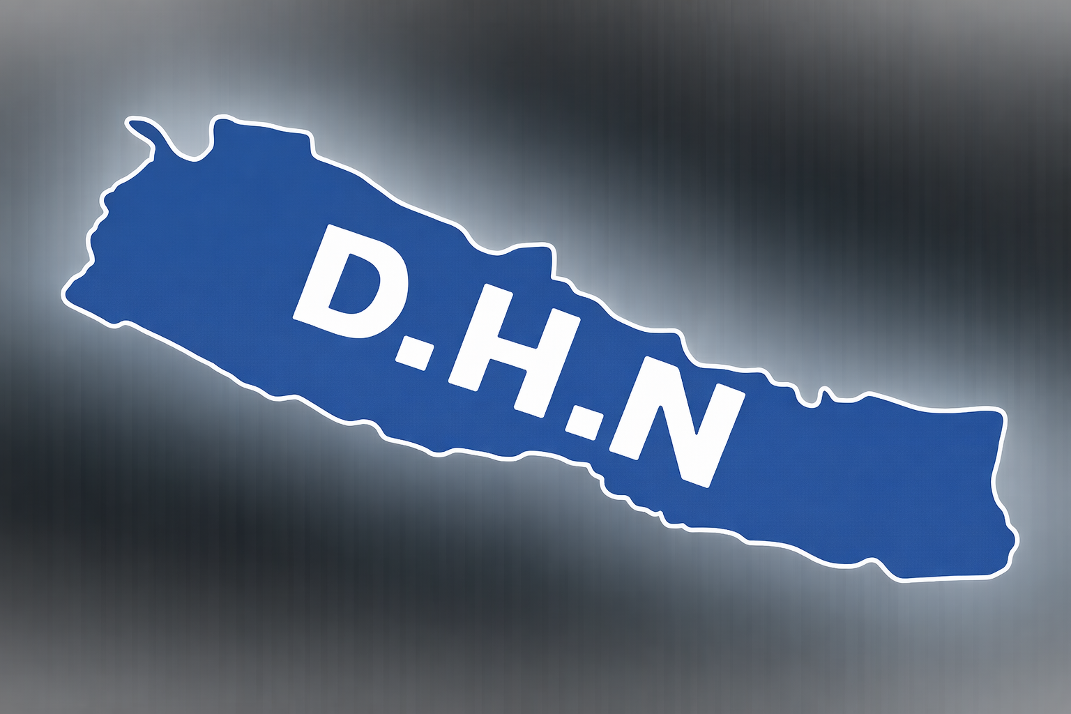 DHN Holding